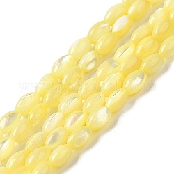Fili di perline di conchiglia trochus naturale, tinto, riso, giallo, 5x3~3.5mm, Foro: 0.7 mm, circa 81~82pcs/filo, 15.39''~15.51'' (39.1~39.4 cm)