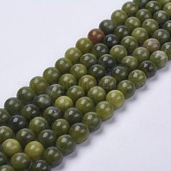 Natürliche taiwan jade perlen, Runde, Olive, ca. 8 mm Durchmesser, Bohrung: 1 mm, ca. 50 Stk. / Strang, 16 Zoll