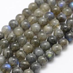 Natural Labradorite Beads Strands, Grade A+, Round, 8mm, Hole: 1mm, about 49pcs/strand, 15.3 inch(39cm)