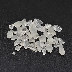 Quartz naturel copeaux de perles de cristal, perles de cristal de roche, pas de trous / non percés, 2~8x2~4mm, environ 340 pcs/20 g