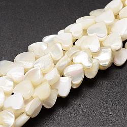 Fili di perle di conchiglia trochid naturale / trochus, cuore, bianco crema, 8x8x3~4mm, Foro: 1 mm, circa 50~53pcs/filo, 15.5 pollice