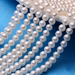 Brins de perles de culture d'eau douce naturelles, ronde, blanc crème, 5~5.5mm, Trou: 0.8mm, Environ 77~80 pcs/chapelet, 15.7 pouce