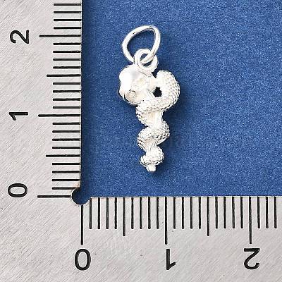 925 ciondoli in argento sterling&nbsp;STER-F059-08S-1