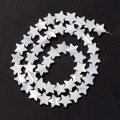 Бусины из натуральных трохоидных/трохус ракушек SSHEL-O001-25C-02-1