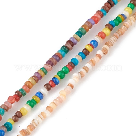 Eau douce naturelle de coquillage perles brins SHEL-M018-07-1