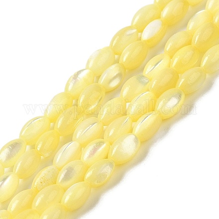 Brins de perles de coquillages naturels de troca SHEL-K006-19C-1