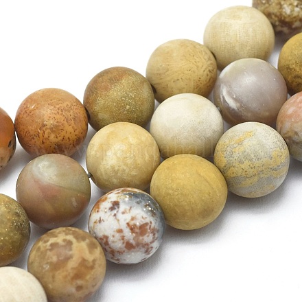 Fossiles naturelle perles de corail brins G-I254-01A-1