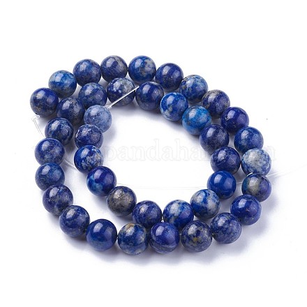 Natural Lapis Lazuli Beads Strands G-P430-07-D-1