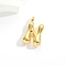 Brass Pendants, Letter Charms, Golden, Letter N, 28x10~25mm