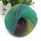 Gradient Color Wool Thread, Section Dyed Icelandic Wool Thread, Soft and Warm, for Hand-woven Shawl Scarf Hat, Colorful, 2mm