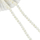 Fili di perle di conchiglia trochid naturale / trochus SHEL-WH0001-008-2