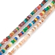 Eau douce naturelle de coquillage perles brins SHEL-M018-07-1