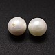 Shell-Perlen&nbsp;LS-BSHE-L031-01-12mm-2