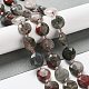 Natural African Bloodstone Beads Strands G-NH0004-040-2