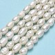 Fili di perle di perle d'acqua dolce coltivate naturali PEAR-J006-16A-01-2