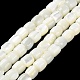 Brins de perles de coquillages naturels de troca BSHE-E030-05B-2