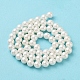 Cuentas perlas de concha de perla X-BSHE-L026-03-6mm-4