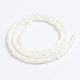 Chapelets de perles de coquille de trochid / trochus coquille SSHEL-L016-13A-3