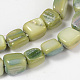 Natural Shell Beads Strands PBB073Y-3