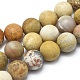 Natural Fossil Coral Beads Strands G-I254-01A-1