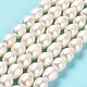 Natural Cultured Freshwater Pearl Beads Strands PEAR-E016-061-2