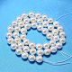 Redondo shell hebras de abalorios de perlas BSHE-L011-10mm-A013-2