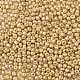 8/0 Glass Seed Beads X-SEED-A017-3mm-1107-2
