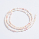 Natural Pink Shell Beads Strands SSHEL-L016-18B-3