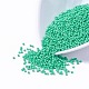 12/0 Grade A Baking Paint Glass Seed Spacer Beads X-SEED-Q009-FJX10-1
