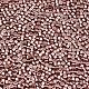 Perline di semi di vetro di grado 11/0 SEED-S030-1202-2