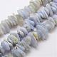 Natural Blue Chalcedony Bead Strands G-E381-02-2