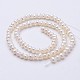 Natural Cultured Freshwater Pearl Beads Strands PEAR-F004-02-2