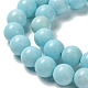 Natural Howlite Beads Strands G-E604-B02-A-4