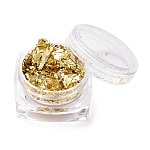 Foil Flakes, DIY Gilding Flakes, for Epoxy Jewelry Accessories Filler, Gold, Box: 2.9x1.6cm