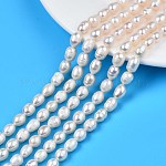 Natural Cultured Freshwater Pearl Beads Strands, Rice, Seashell Color, 7.5~11x6.5~7.5mm, Hole: 0.8mm, about 40~42pcs/strand, 13.58 inch~14.29 inch(34.5cm~36.3cm)