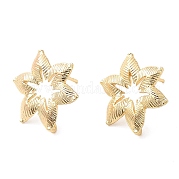 Крючки серьги из латуни KK-F855-22G
