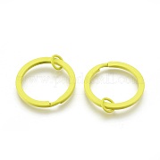 Железные брелоки с краской IFIN-L038-14-FF