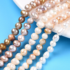 Hebras de perlas de agua dulce cultivadas naturales, patata, color mezclado, 5~7.5x5.5~7mm, agujero: 0.7 mm, aproximamente 51~57 pcs / cadena, 13.39 pulgada (34 cm)