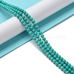 Природные Говлит бисер нитей G-E604-B01