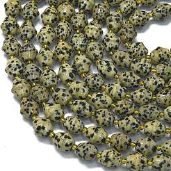Природные яшмы далматин бисер нитей G-K389-D16-01