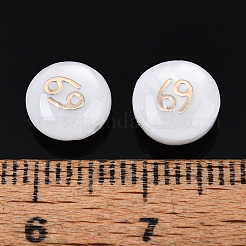 天然淡水シェルビーズ 5 個  コンスタレーション模様とフラットラウンド  ホワイトスモーク  蟹座  7.5~8x3.5~5mm  穴：0.6~0.9mm  5個/袋&nbsp;BSHE-TAC0004-01F