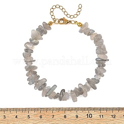 Natürliche Labradorit-Perlenarmbänder&nbsp;BJEW-JB14508