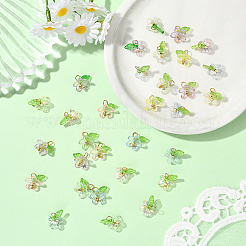 100 шт. подвески из пластика и акрила&nbsp;FIND-SC0019-77