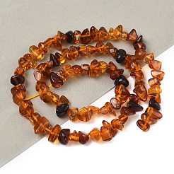 Янтарные шарики нити G-T138-235C