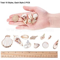 Galvanische Schale Anhänger Sets&nbsp;BSHE-PH0003-19