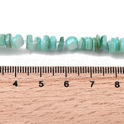 Бусины из натуральных пресноводных ракушек SHEL-B003-01B