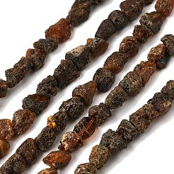 Brins de perles d'ambre naturelles brutes&nbsp;GG-CBAC13F-D01-03
