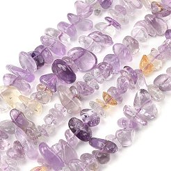 Naturperlen Stränge ametrine&nbsp;G-P622-A02-02