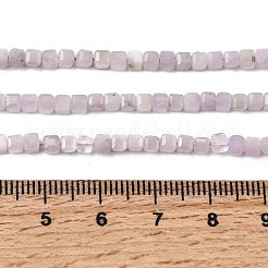 Природные кунцит бисер нитей&nbsp;G-A293-A01-01