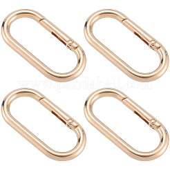 6 anneau de porte à ressort en alliage&nbsp;FIND-SP0001-24KCG